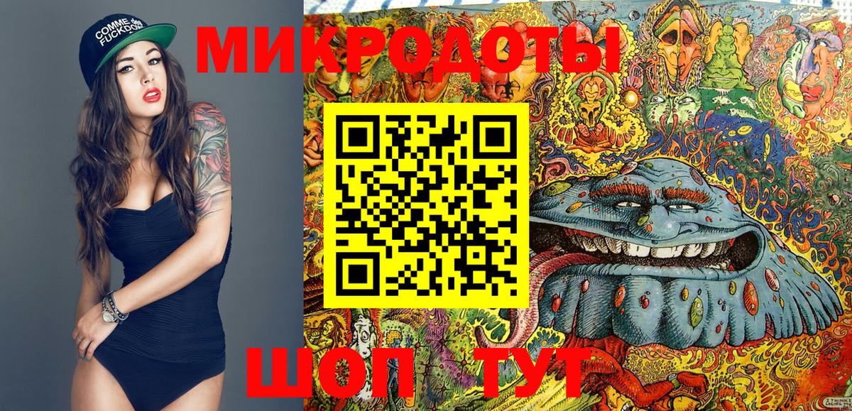 Менделеевск  Галлюциногенные грибы Psilocybine cubensis  Вход с VPN 